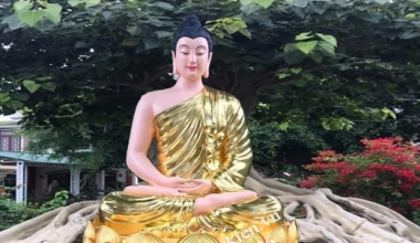 TÔN TẠO TƯỢNG THÍCH CA MÂU NI CHẤT LƯỢNG SẮC NÉT