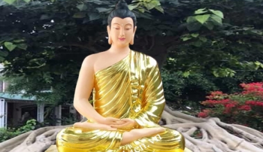 ĐƠN VỊ CHUYÊN TÔN TẠO TƯỢNG PHẬT BỔN SƯ HCM